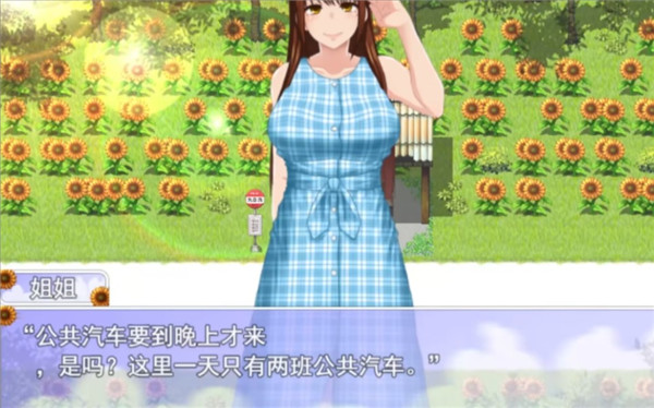 我的暑假秘密回忆