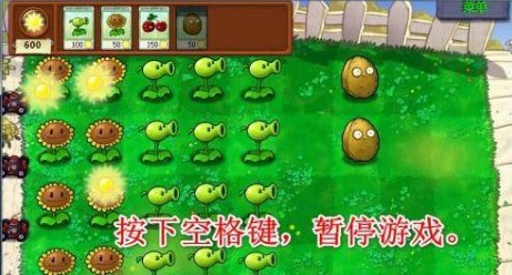 植物大战僵尸95版手机版中文版