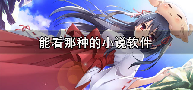 能看那种的小说软件