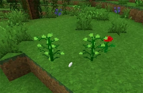 生存战争2.3中文联机版