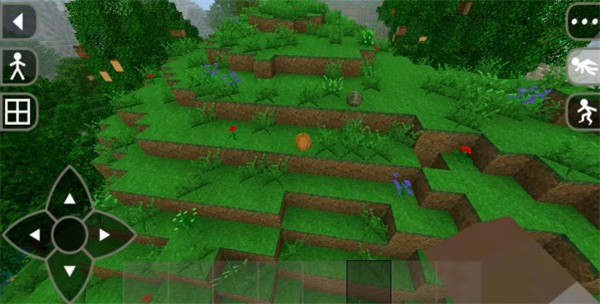 生存战争2.3中文联机版