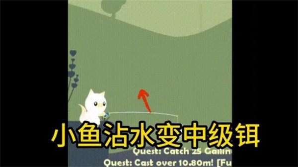 小猫钓鱼无限金币版无限等级