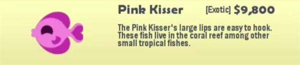 小猫钓鱼无限金币中文版