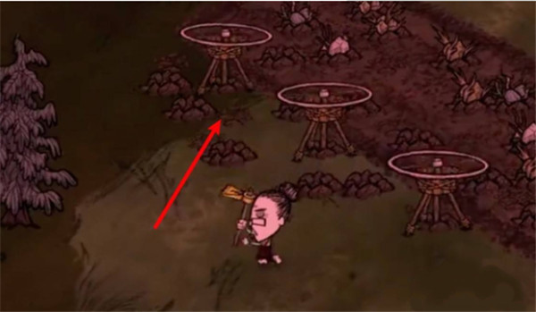 饥荒dont starve
