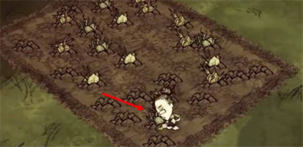 饥荒dont starve