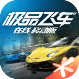 极品飞车21
