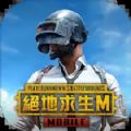 pubg mobile中文版