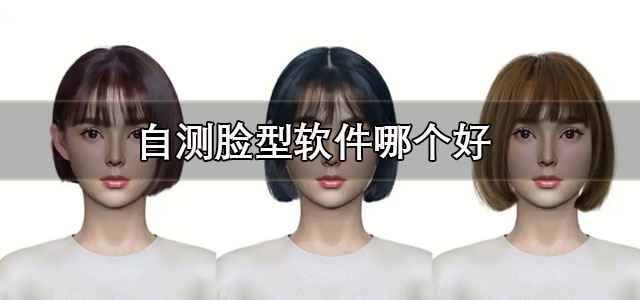 自测脸型软件