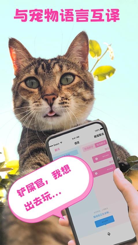 猫鱼字帖