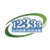 掌上12333
