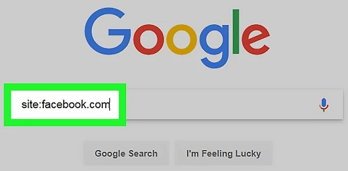 谷歌怎么找资源