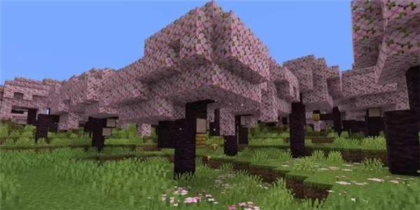 我的世界1.20测试版