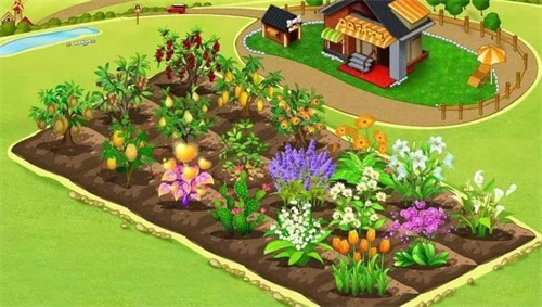 qq农场手机官方正版截图1