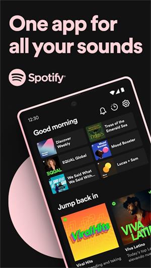 spotify安卓版截图3