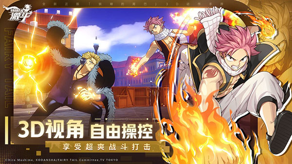 妖精的尾巴激斗测试服截图4