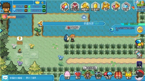 口袋新世代正版