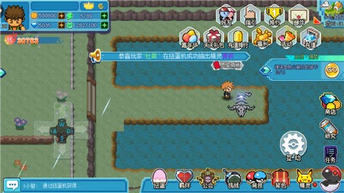 口袋新世代正版