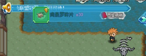 口袋新世代正版