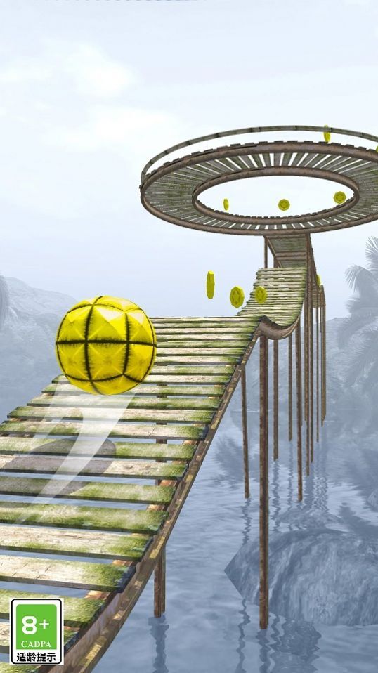 水上球球酷跑截图2