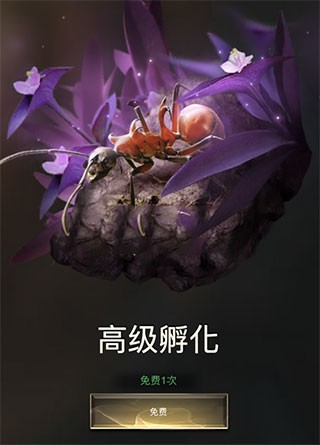 小小蚁国官方版