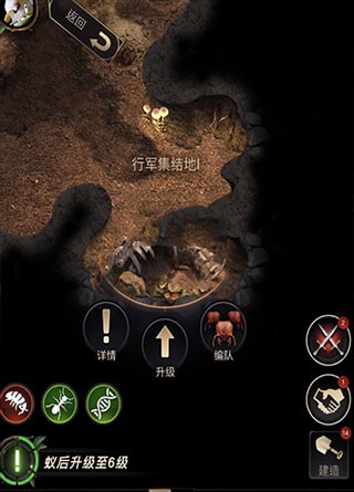 小小蚁国官方版