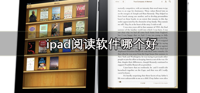 ipad阅读软件
