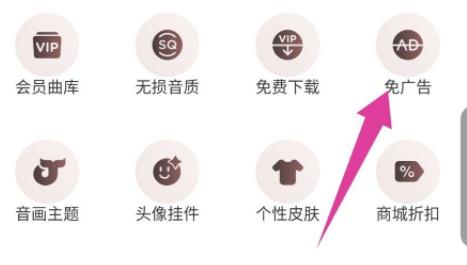 网易云音乐vip和黑胶vip区别是什么