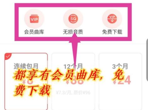 网易云音乐vip和黑胶vip区别是什么