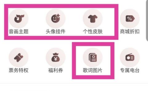 网易云音乐vip和黑胶vip区别是什么