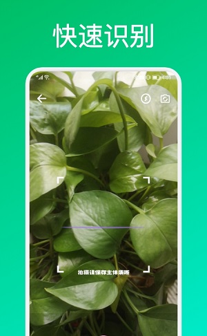 识花君植物识别截图1