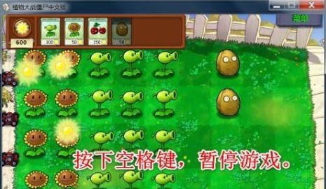 植物大战僵尸电脑95版和β版