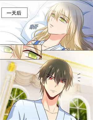 追追漫画app官方免费版
