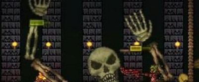 泰拉瑞亚国际服1.4.4.9