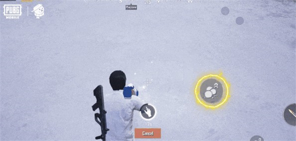 pubg国际服2.9.0官方正版