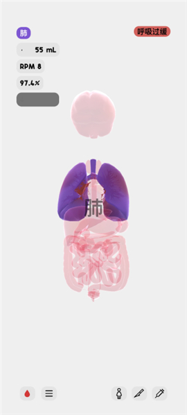 life生命模拟器中文版安卓版