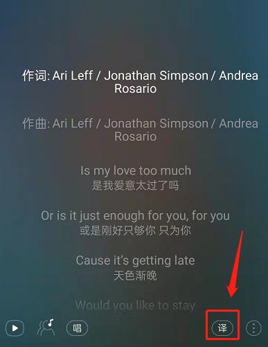 网易云音乐歌词中文翻译关闭教程