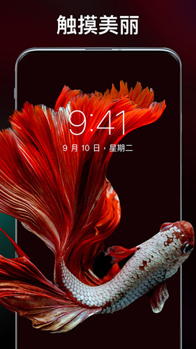 主题壁纸专业版