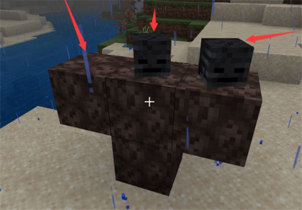 真正的凋零风暴