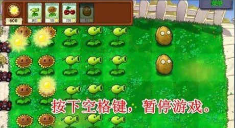 植物大战僵尸自带修改器95版