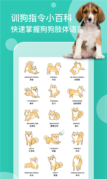 狗语翻译器截图4