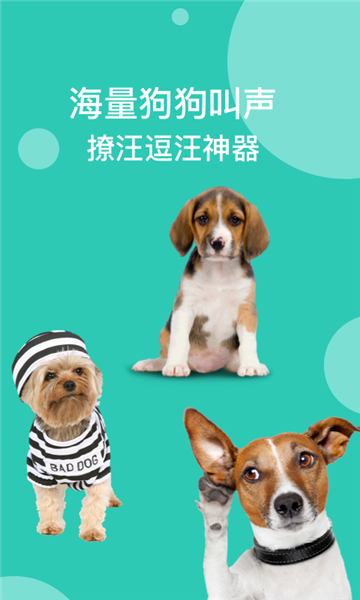 狗语翻译器截图5