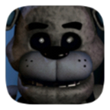 冬天熊的午夜后宫回归