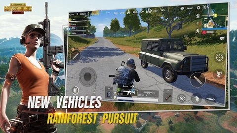 pubg绿体文件包下载2025截图2
