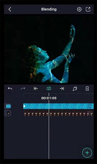 alight motion正版中文版