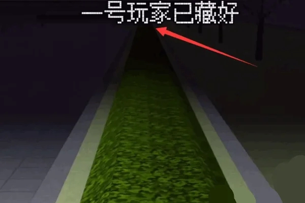 樱花校园躲猫猫