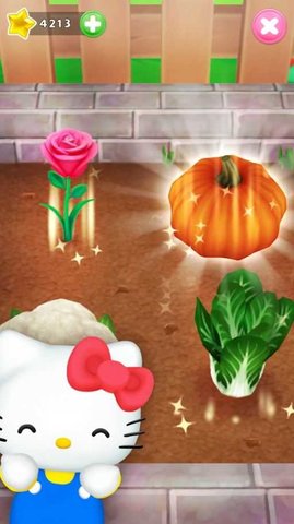 会说话的kitty猫截图2