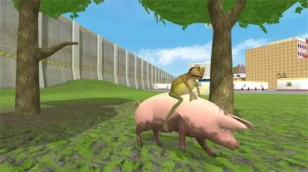 神奇青蛙完整版