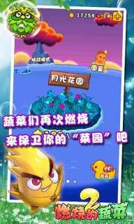 燃烧的蔬菜1截图1