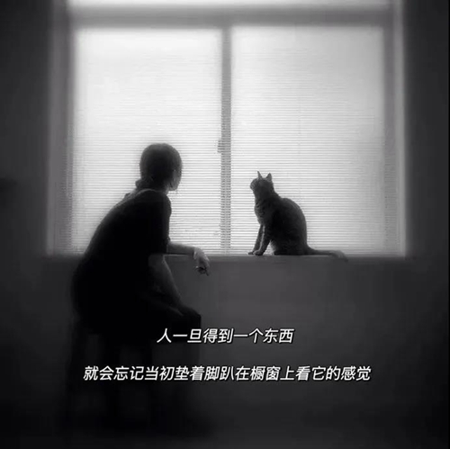 每一个人的出现 会让你觉得人间值得图片