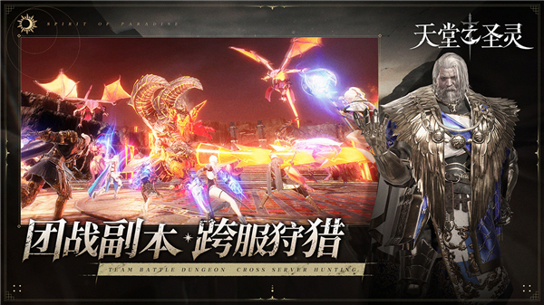 天堂之圣灵截图5
